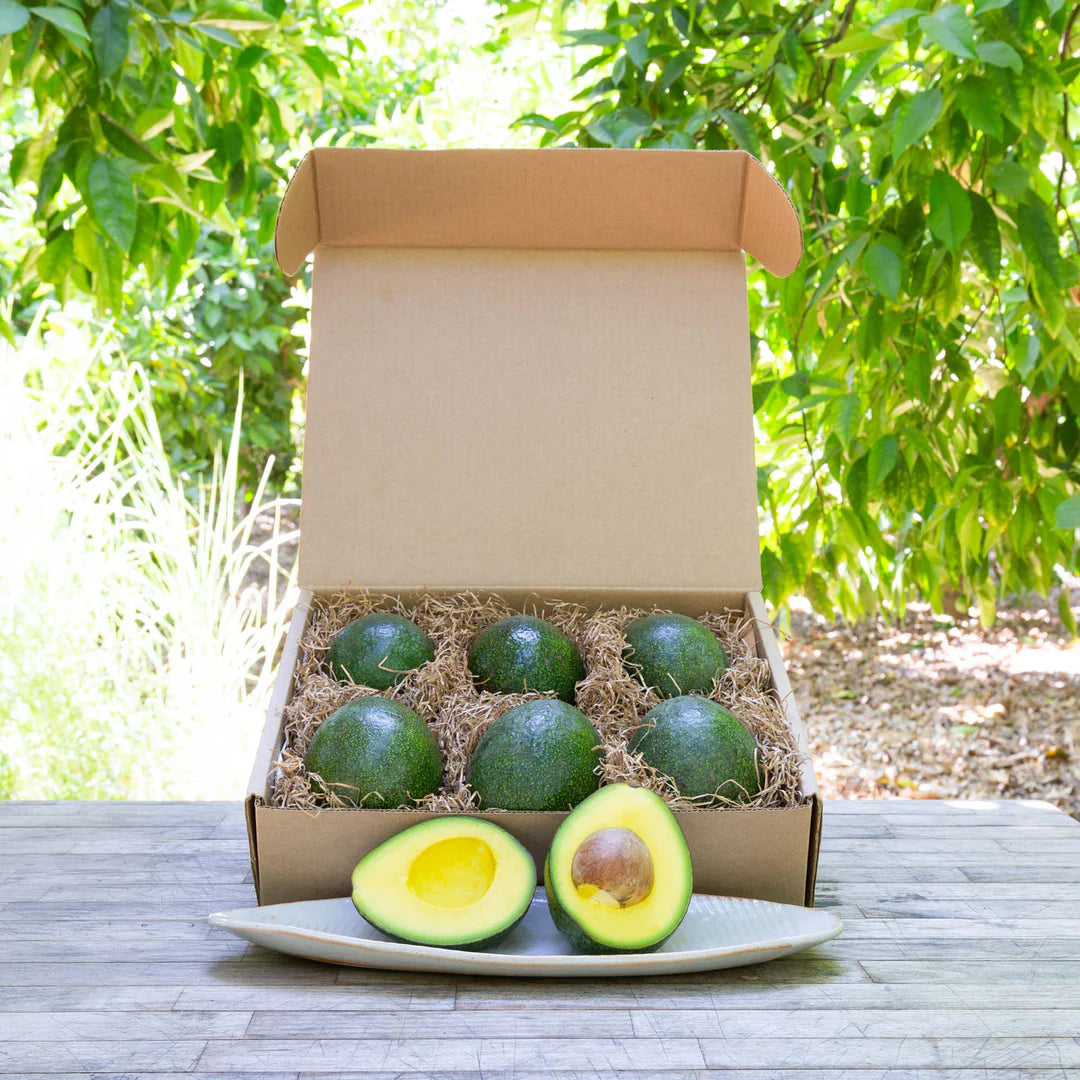 Fresh Hass Avocados 1 kg