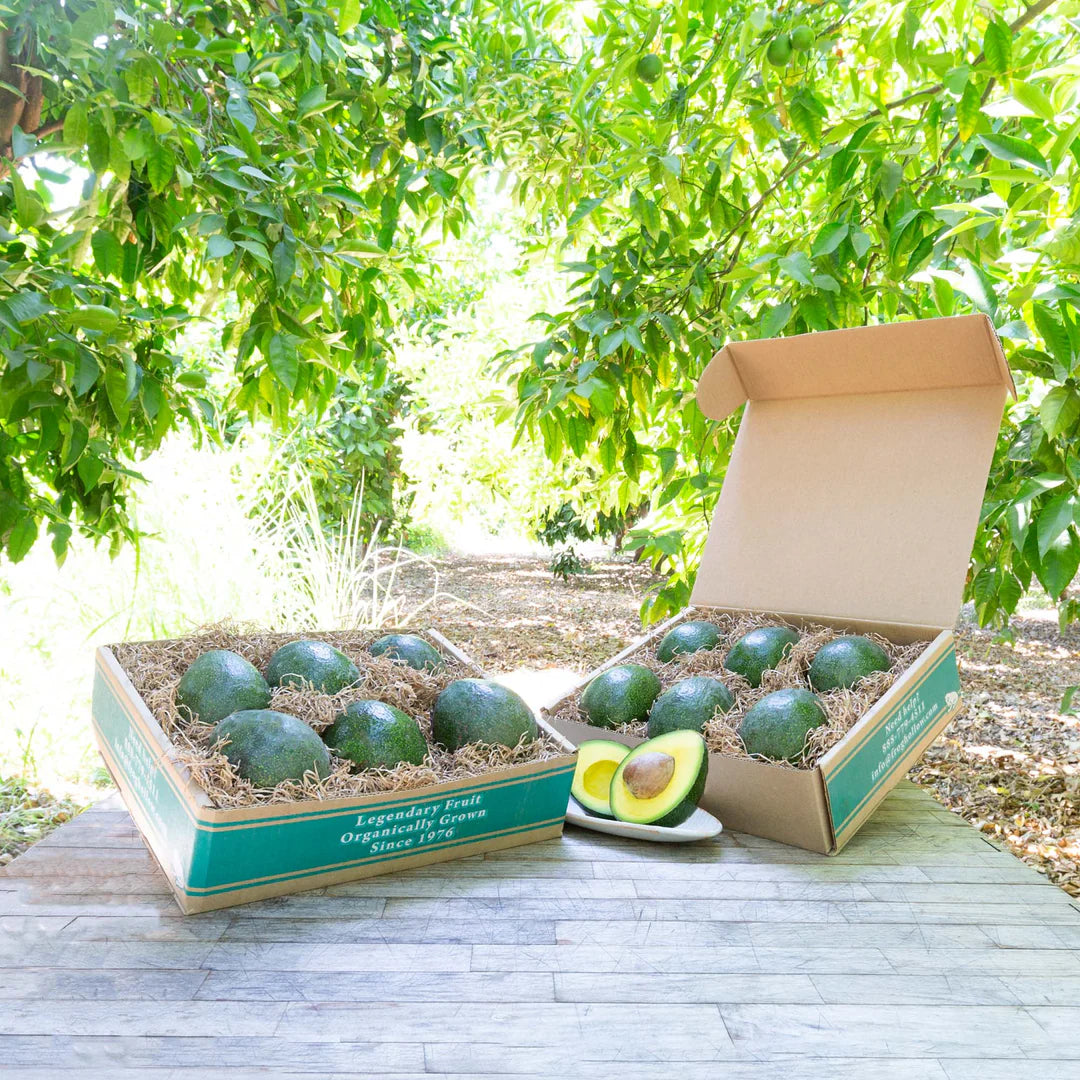 Fresh Hass Avocados 1 kg