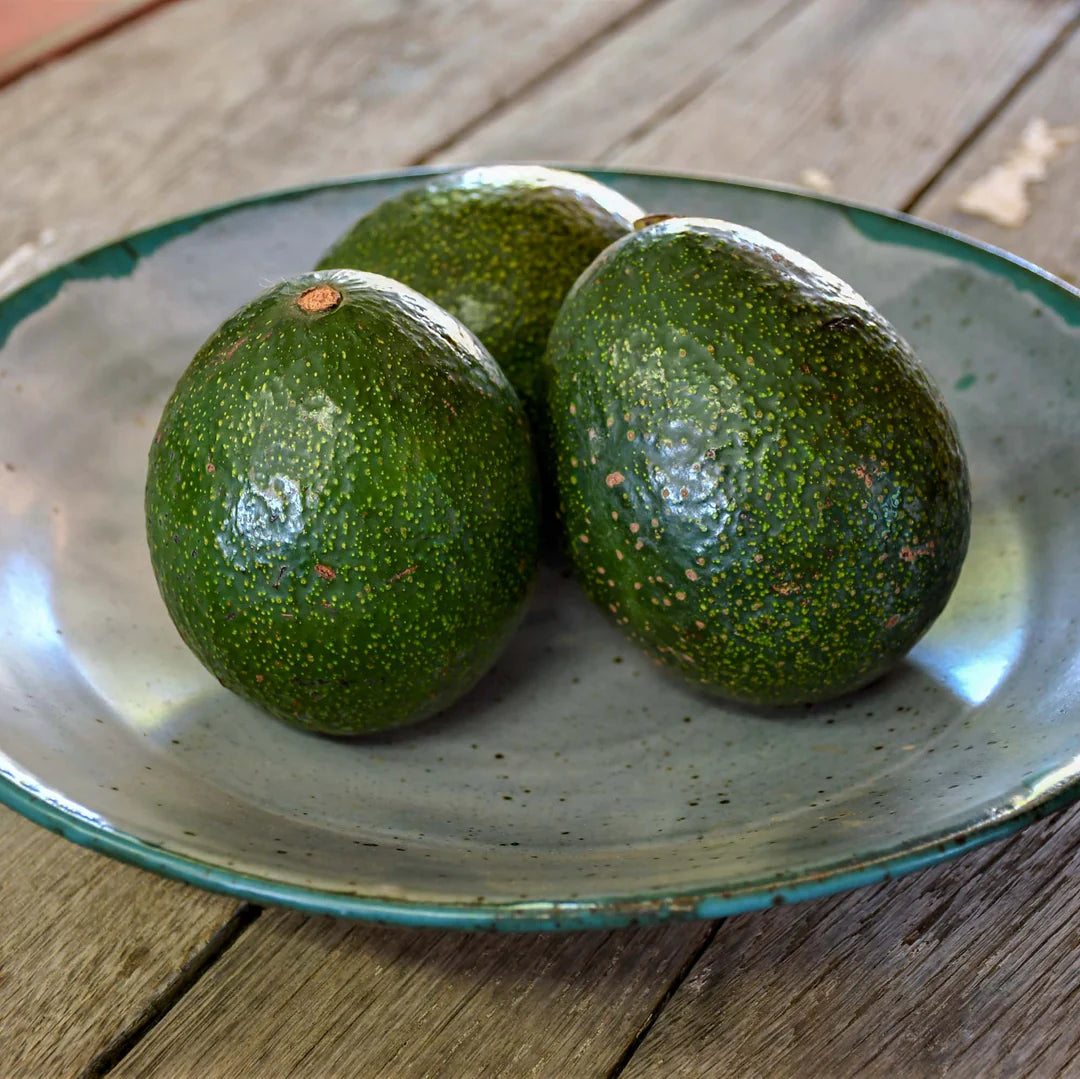 Fresh Hass Avocados 1 kg