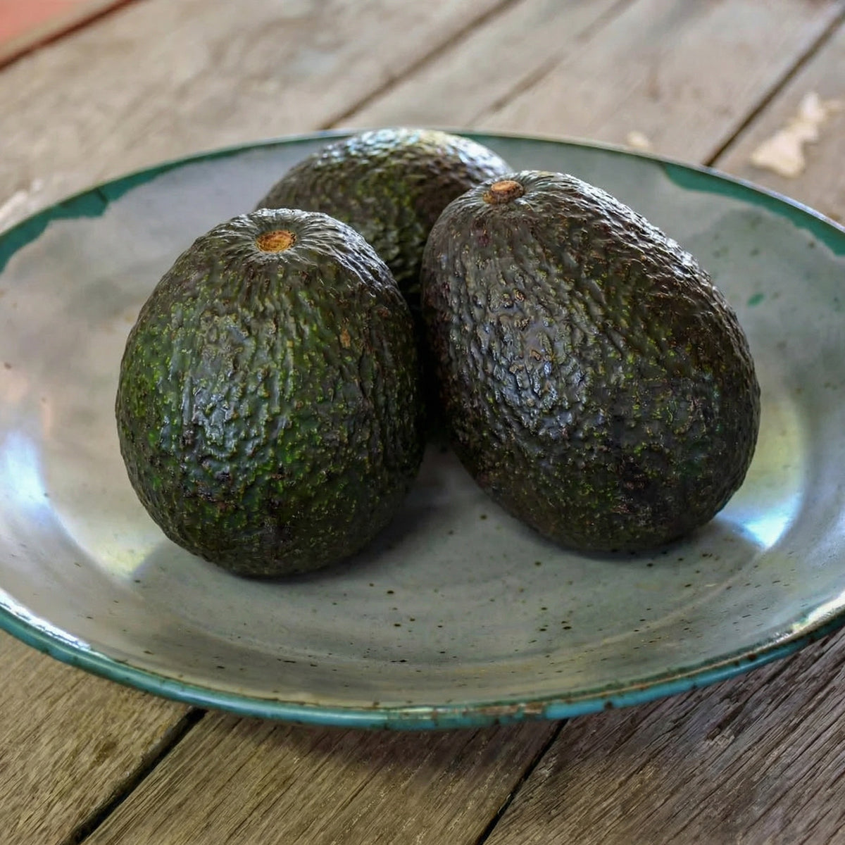 Fresh Hass Avocados 1 kg