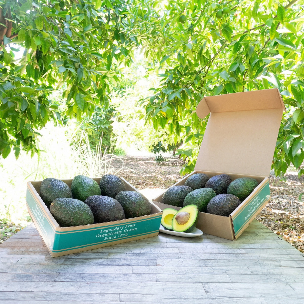 Fresh Hass Avocados 1 kg